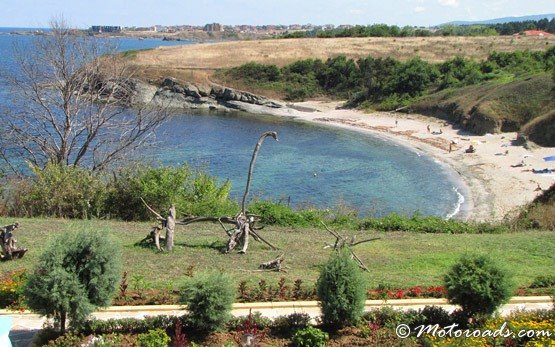 Vista al mar, Gatito